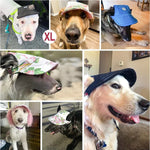 Adjustable Doggo Summer Hat - Puparazzi Store