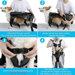 AdventurePaws Hands-Free Dog Front Carrier - Puparazzi Store