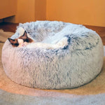 Cozy Cocoon - Pet Bed - Puparazzi Store