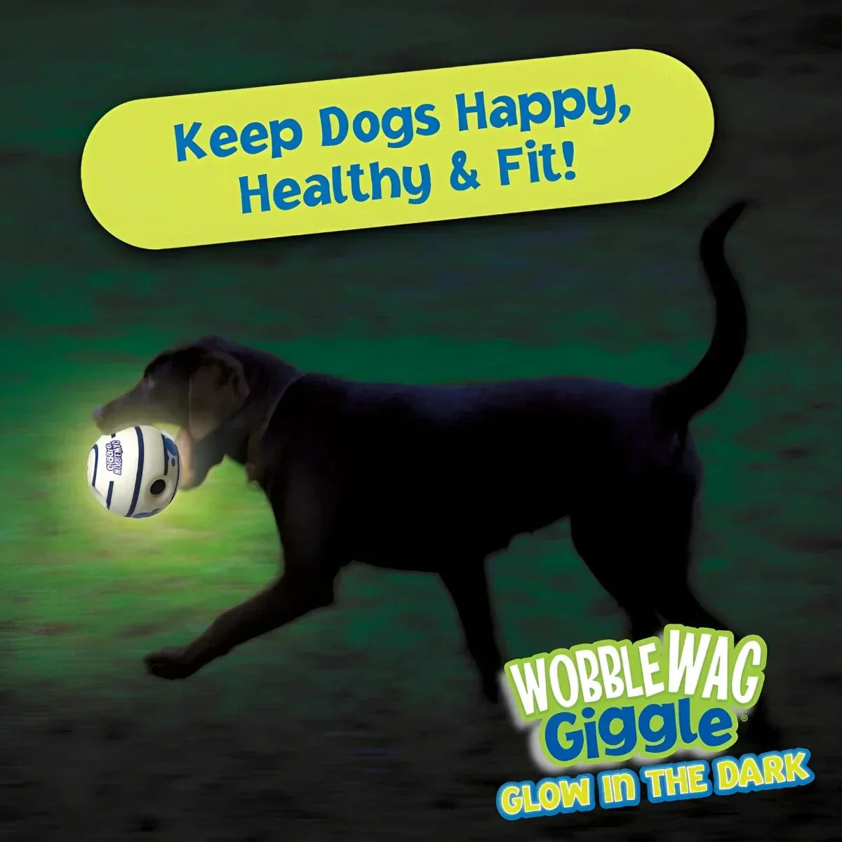 Glow & Giggle Ball Interactive Dog Toy - As Seen On TV - Puparazzi Store