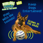 Glow & Giggle Ball Interactive Dog Toy - As Seen On TV - Puparazzi Store