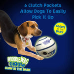 Glow & Giggle Ball Interactive Dog Toy - As Seen On TV - Puparazzi Store