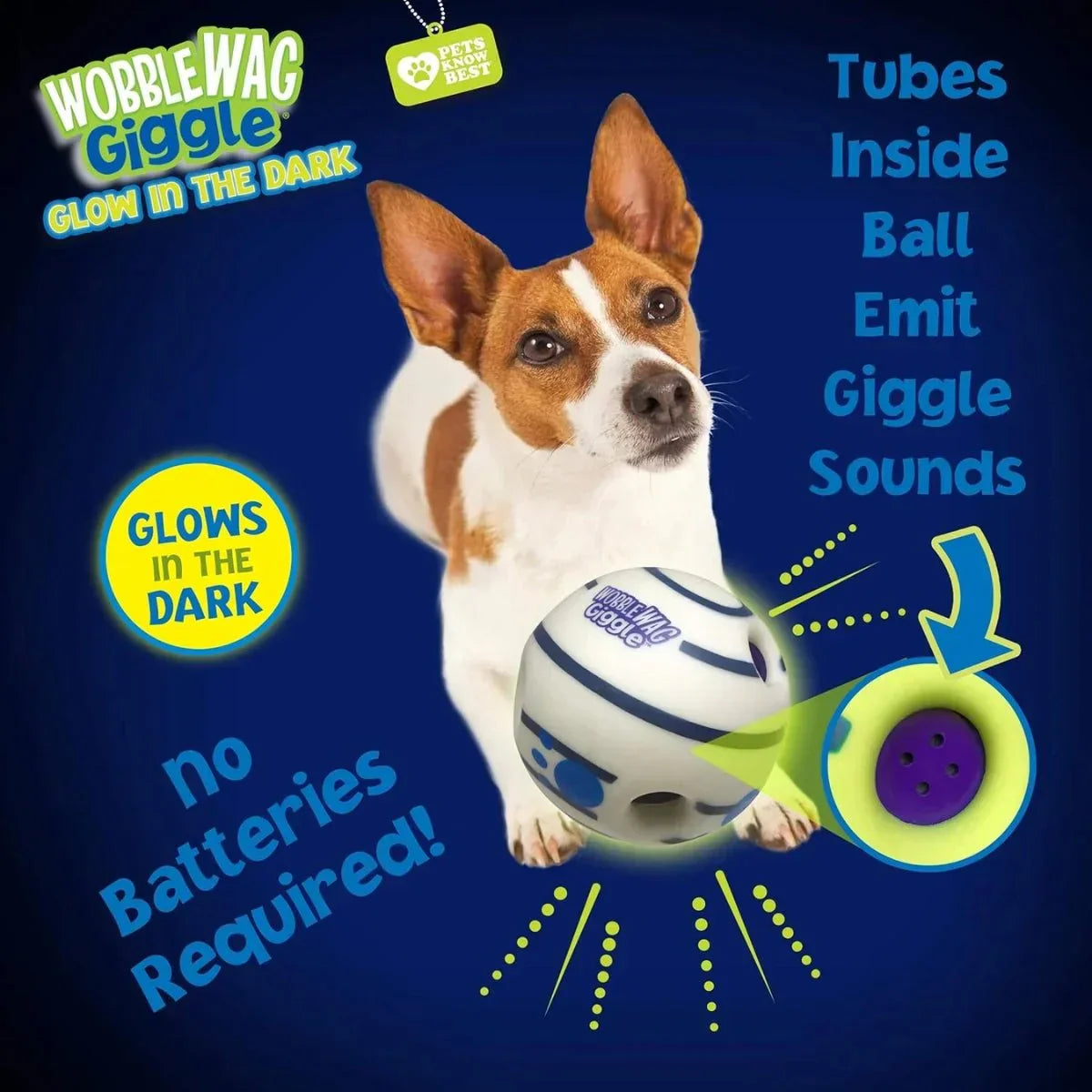 Glow & Giggle Ball Interactive Dog Toy - As Seen On TV - Puparazzi Store