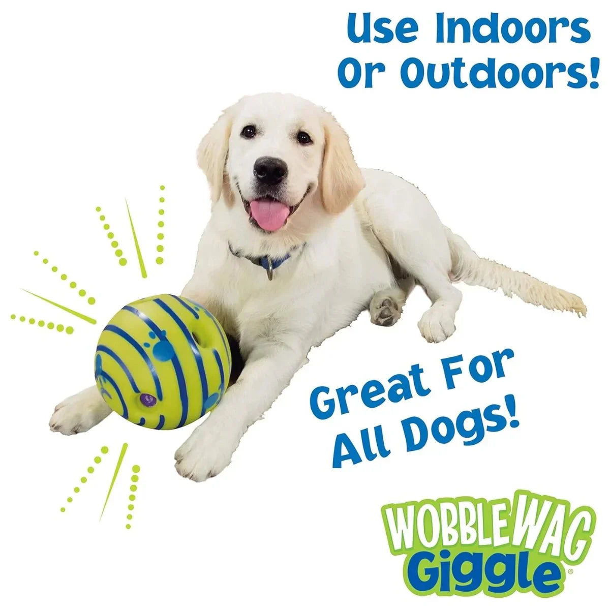 Glow & Giggle Ball Interactive Dog Toy - As Seen On TV - Puparazzi Store