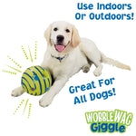 Glow & Giggle Ball Interactive Dog Toy - As Seen On TV - Puparazzi Store