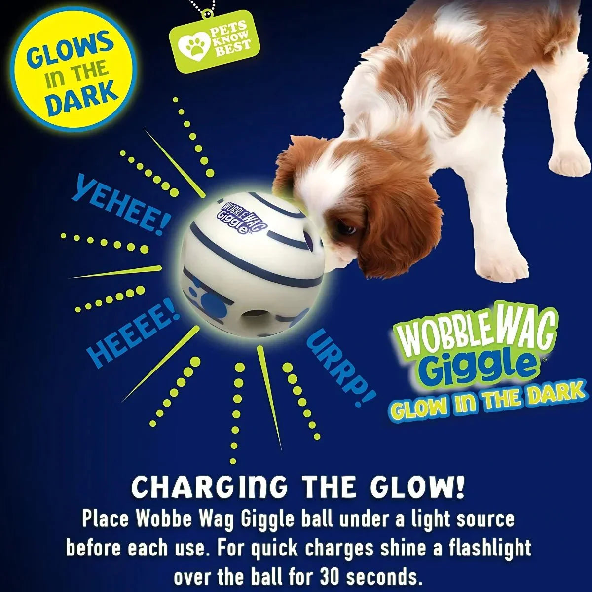 Glow & Giggle Ball Interactive Dog Toy - As Seen On TV - Puparazzi Store