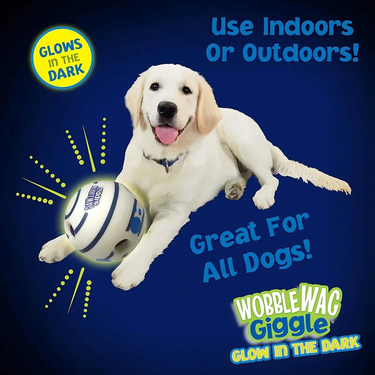 Glow & Giggle Ball Interactive Dog Toy - As Seen On TV - Puparazzi Store