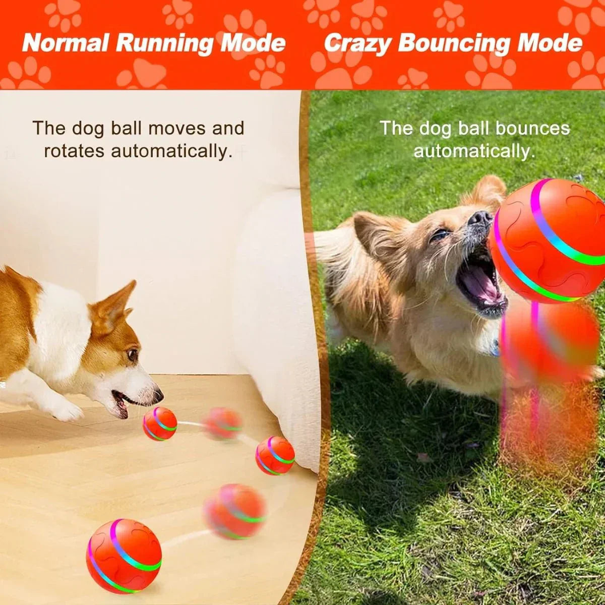 Interactive Bouncing Dog Ball Toy - Puparazzi Store