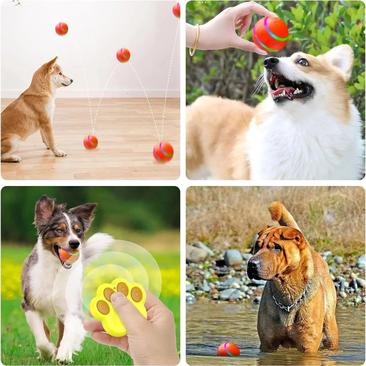 Interactive Bouncing Dog Ball Toy - Puparazzi Store