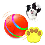 Interactive Bouncing Dog Ball Toy - Puparazzi Store