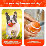 Interactive Bouncing Dog Ball Toy - Puparazzi Store