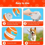 Interactive Bouncing Dog Ball Toy - Puparazzi Store